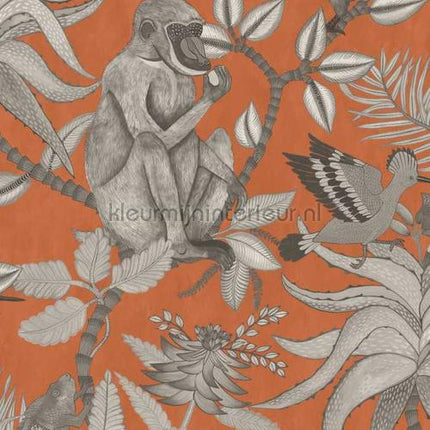 Cole and Son Ardmore 109-1001 | Bestellen bij https://www.kleurmijninterieur.nl/