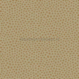 Cole and Son Ardmore 109-6029 | Bestellen bij https://www.kleurmijninterieur.nl/