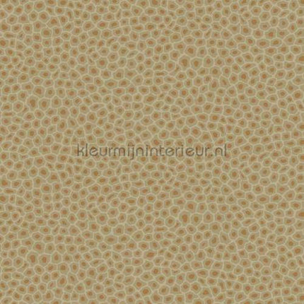 Cole and Son Ardmore 109-6029 | Bestellen bij https://www.kleurmijninterieur.nl/