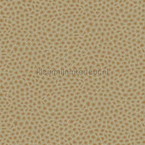 Cole and Son Ardmore 109-6029 | Bestellen bij https://www.kleurmijninterieur.nl/
