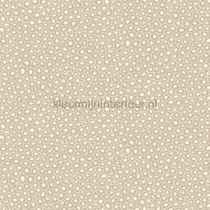 Cole and Son Ardmore 109-6030 | Bestellen bij https://www.kleurmijninterieur.nl/