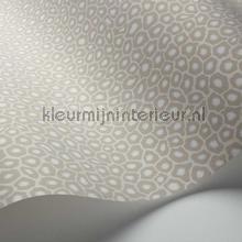 Cole and Son Ardmore 109-6030 | Bestellen bij https://www.kleurmijninterieur.nl/
