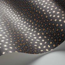 Cole and Son Ardmore 109-6032 | Bestellen bij https://www.kleurmijninterieur.nl/
