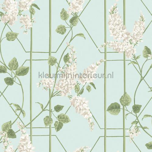 Cole and Son Botanical 115-5014 | Bestellen bij https://www.kleurmijninterieur.nl/