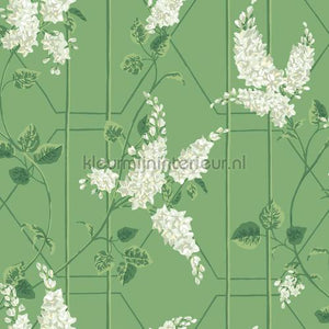 Cole and Son Botanical 115-5016 | Bestellen bij https://www.kleurmijninterieur.nl/