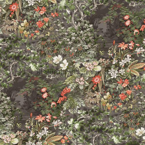 Cole and Son Botanical 115-4011 | Bestellen bij https://www.kleurmijninterieur.nl/