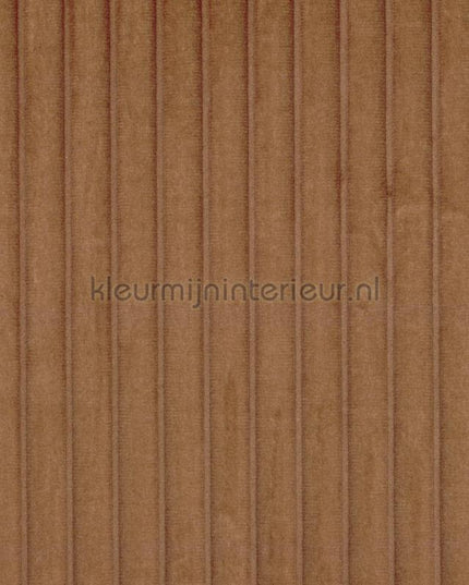 Elitis Rayures Jumelles RM-1044-05 | Bestellen bij https://www.kleurmijninterieur.nl/