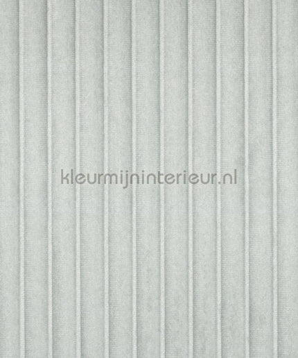Elitis Rayures Jumelles RM-1044-40 | Bestellen bij https://www.kleurmijninterieur.nl/