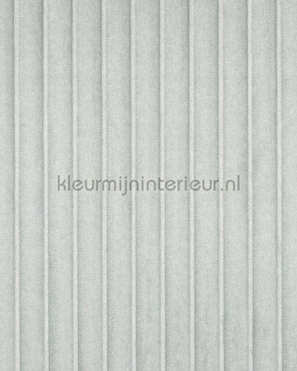 Elitis Rayures Jumelles RM-1044-40 | Bestellen bij https://www.kleurmijninterieur.nl/