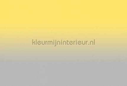 AS Creation Walls by Patel 3 DD122660 | Bestellen bij https://www.kleurmijninterieur.nl/
