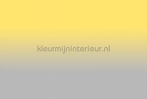 AS Creation Walls by Patel 3 DD122660 | Bestellen bij https://www.kleurmijninterieur.nl/