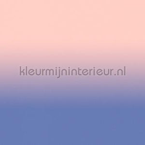 AS Creation Walls by Patel 3 DD122664 | Bestellen bij https://www.kleurmijninterieur.nl/