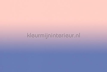 AS Creation Walls by Patel 3 DD122664 | Bestellen bij https://www.kleurmijninterieur.nl/
