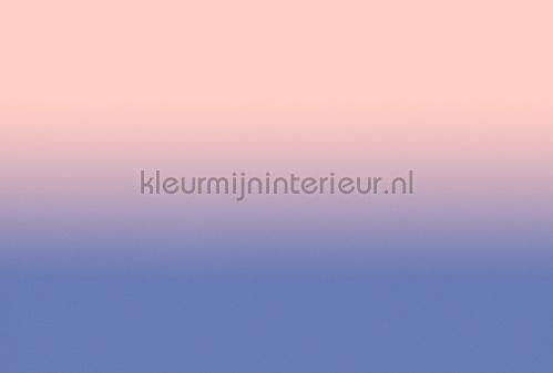 AS Creation Walls by Patel 3 DD122664 | Bestellen bij https://www.kleurmijninterieur.nl/