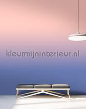 AS Creation Walls by Patel 3 DD122664 | Bestellen bij https://www.kleurmijninterieur.nl/
