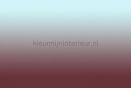 AS Creation Walls by Patel 3 DD122668 | Bestellen bij https://www.kleurmijninterieur.nl/