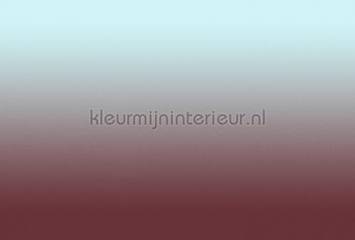 AS Creation Walls by Patel 3 DD122668 | Bestellen bij https://www.kleurmijninterieur.nl/
