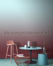 AS Creation Walls by Patel 3 DD122668 | Bestellen bij https://www.kleurmijninterieur.nl/