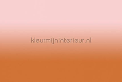 AS Creation Walls by Patel 3 DD122672 | Bestellen bij https://www.kleurmijninterieur.nl/