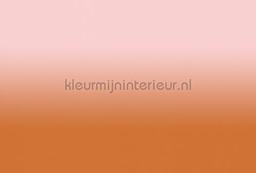 AS Creation Walls by Patel 3 DD122672 | Bestellen bij https://www.kleurmijninterieur.nl/