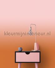 AS Creation Walls by Patel 3 DD122672 | Bestellen bij https://www.kleurmijninterieur.nl/