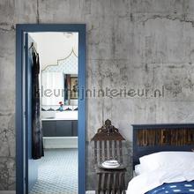 Noordwand Vanilla Lime 14332 | Bestellen bij https://www.kleurmijninterieur.nl/