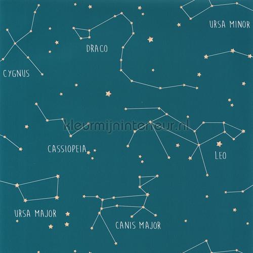 Caselio Our Planet OUP101916003 | Bestellen bij https://www.kleurmijninterieur.nl/