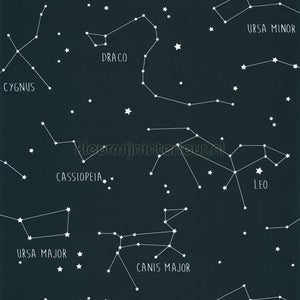Caselio Our Planet OUP101916918 | Bestellen bij https://www.kleurmijninterieur.nl/