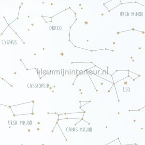 Caselio Our Planet OUP101917125 | Bestellen bij https://www.kleurmijninterieur.nl/