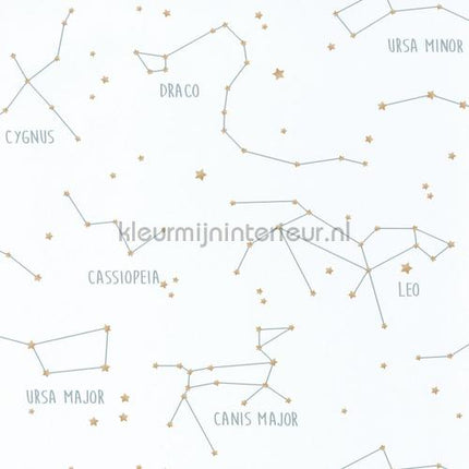 Caselio Our Planet OUP101917125 | Bestellen bij https://www.kleurmijninterieur.nl/
