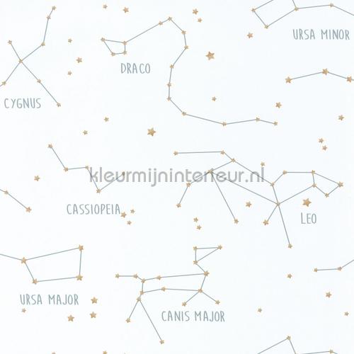 Caselio Our Planet OUP101917125 | Bestellen bij https://www.kleurmijninterieur.nl/