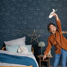 Caselio Our Planet OUP101917125 | Bestellen bij https://www.kleurmijninterieur.nl/