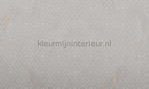 Noordwand Vanilla Lime 14132 | Bestellen bij https://www.kleurmijninterieur.nl/