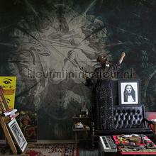 Noordwand Vanilla Lime 14124 | Bestellen bij https://www.kleurmijninterieur.nl/