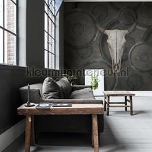Noordwand Vanilla Lime 14252 | Bestellen bij https://www.kleurmijninterieur.nl/