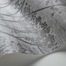 Cole and Son Icons 112-8026 | Bestellen bij https://www.kleurmijninterieur.nl/