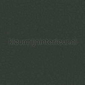 Atlas Wallcoverings Excess 8036-3 | Bestellen bij https://www.kleurmijninterieur.nl/