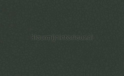 Atlas Wallcoverings Excess 8036-3 | Bestellen bij https://www.kleurmijninterieur.nl/
