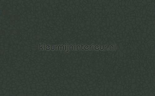 Atlas Wallcoverings Excess 8036-3 | Bestellen bij https://www.kleurmijninterieur.nl/