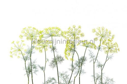Rebel Walls Greenhouse r12951 | Bestellen bij https://www.kleurmijninterieur.nl/