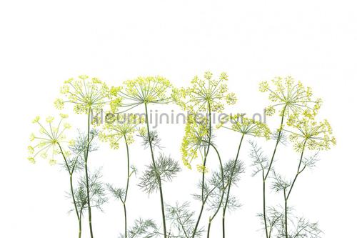 Rebel Walls Greenhouse r12951 | Bestellen bij https://www.kleurmijninterieur.nl/