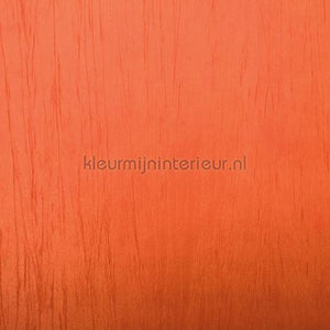 Rodeka Innovations 90-017 | Bestellen bij https://www.kleurmijninterieur.nl/