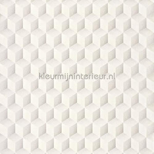 Casadeco Perception PERP28350109 | Bestellen bij https://www.kleurmijninterieur.nl/