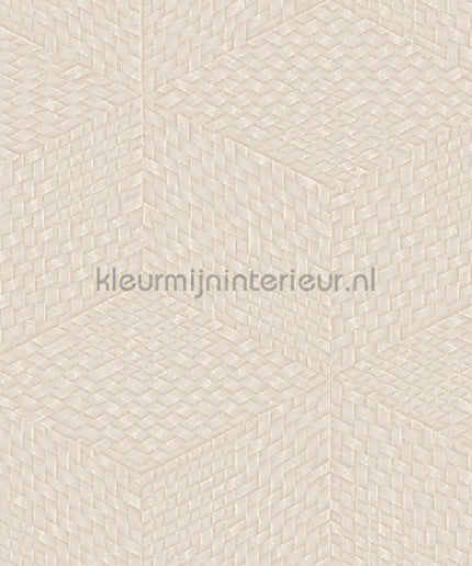 Dutch Wallcoverings Exclusive Threads TP422953 | Bestellen bij https://www.kleurmijninterieur.nl/