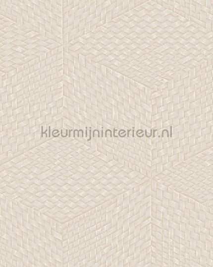 Dutch Wallcoverings Exclusive Threads TP422953 | Bestellen bij https://www.kleurmijninterieur.nl/