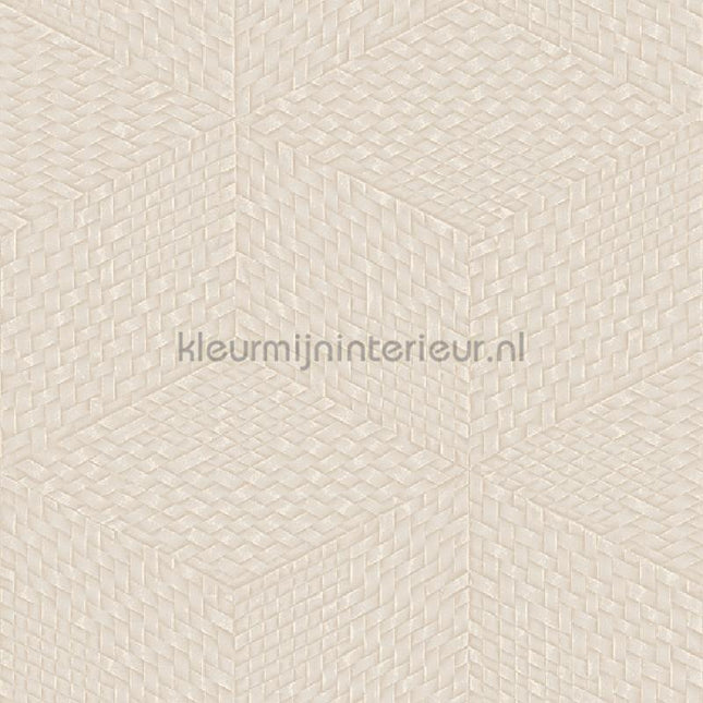 Dutch Wallcoverings Exclusive Threads TP422953 | Bestellen bij https://www.kleurmijninterieur.nl/