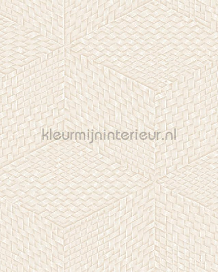 Dutch Wallcoverings Exclusive Threads TP422952 | Bestellen bij https://www.kleurmijninterieur.nl/