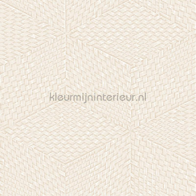 Dutch Wallcoverings Exclusive Threads TP422952 | Bestellen bij https://www.kleurmijninterieur.nl/