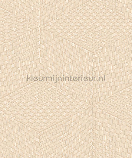 Dutch Wallcoverings Exclusive Threads TP422955 | Bestellen bij https://www.kleurmijninterieur.nl/