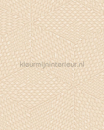 Dutch Wallcoverings Exclusive Threads TP422955 | Bestellen bij https://www.kleurmijninterieur.nl/